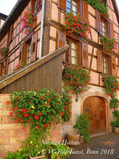 timber frame house, Middle Ages, Alsace, flowers